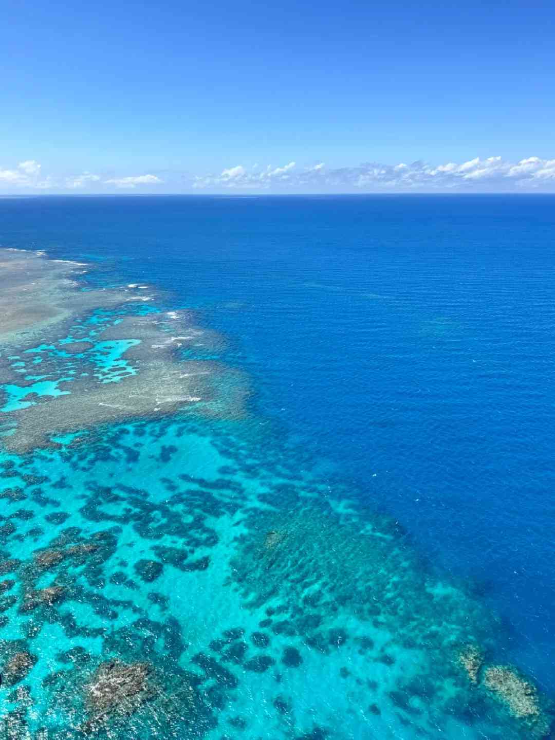 Cairns Vacation Review: Nice but Unlikely to Return