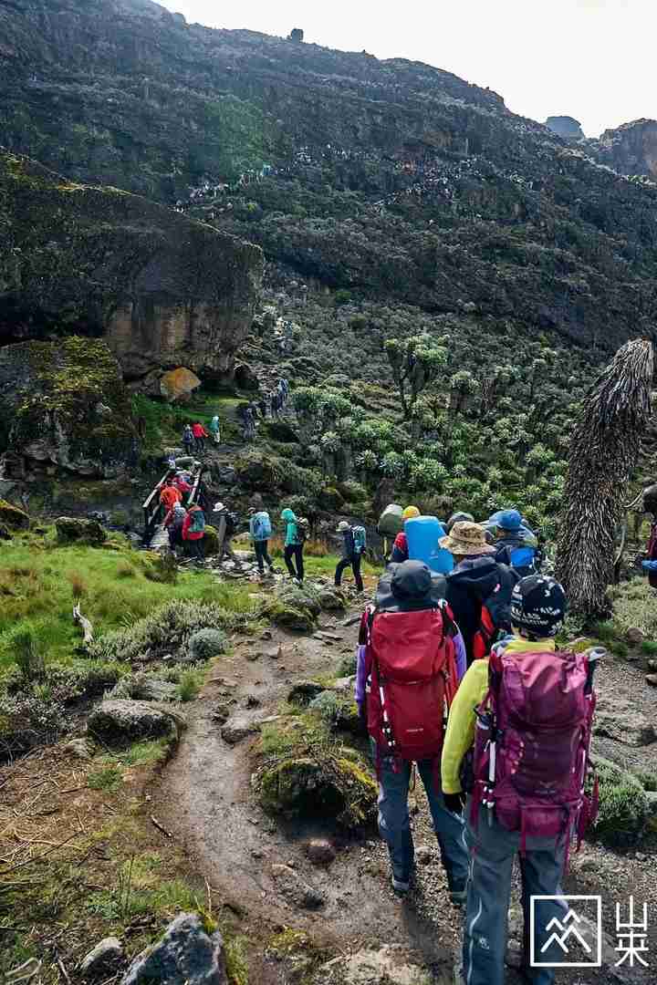 Conquering Mount Kilimanjaro: My Epic Journey to Africa's Highest Peak & Essential Tips