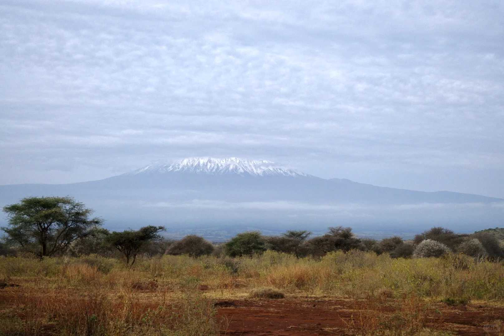 Conquering Mount Kilimanjaro: My Ultimate Bucket List Adventure & Climbing Tips