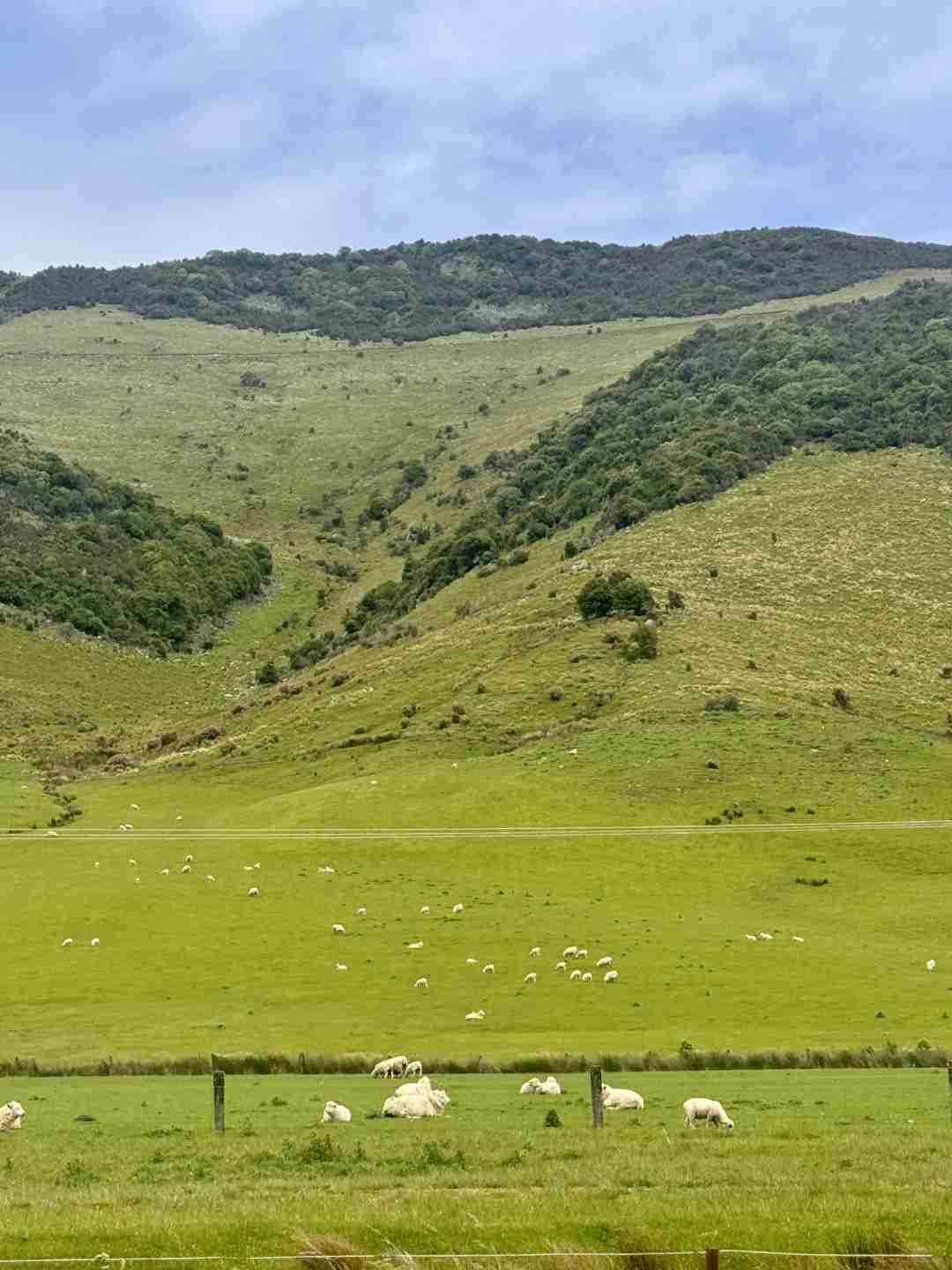 Kosten eines 14-tägigen Selbstfahrer-Touren in Neuseeland: Schöne Routen einfach erkunden