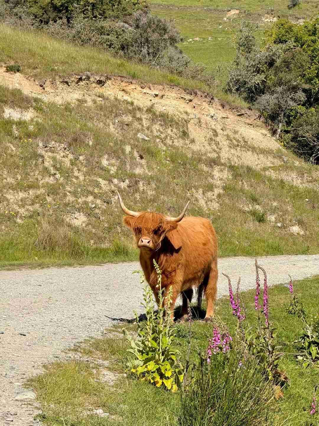 Kosten eines 14-tägigen Selbstfahrer-Touren in Neuseeland: Schöne Routen einfach erkunden