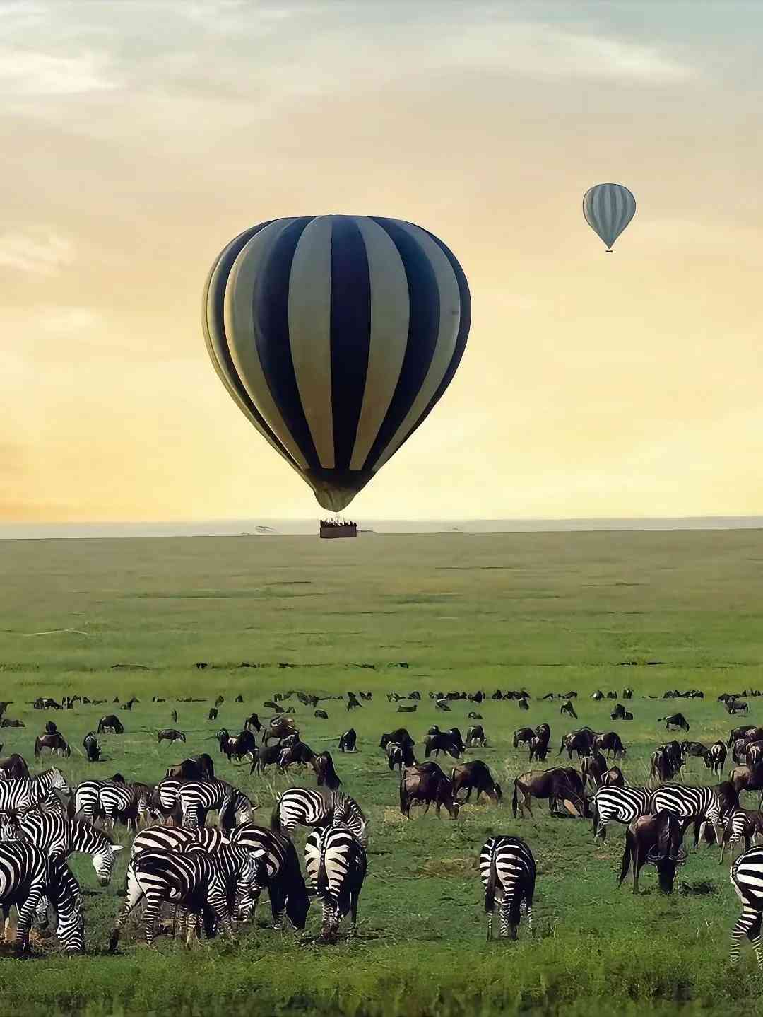 -Day African Safari Adventure: Witness Kenya & Tanzania's Great Migration