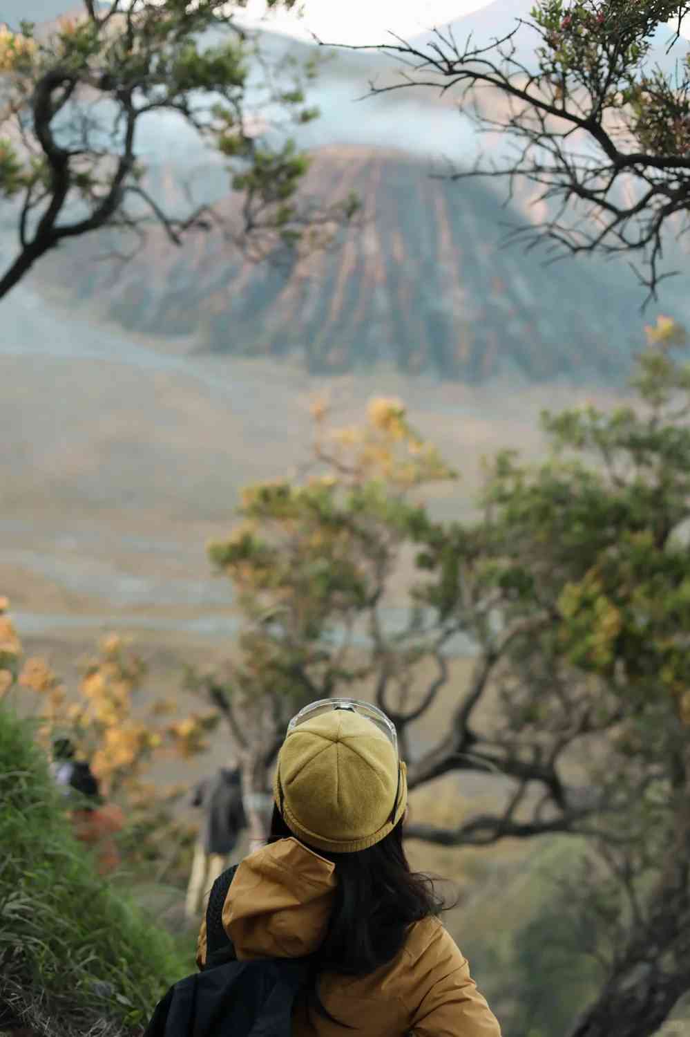Descubra 7.1 Bromo: Revelando Segredos que Você Tem Perdido