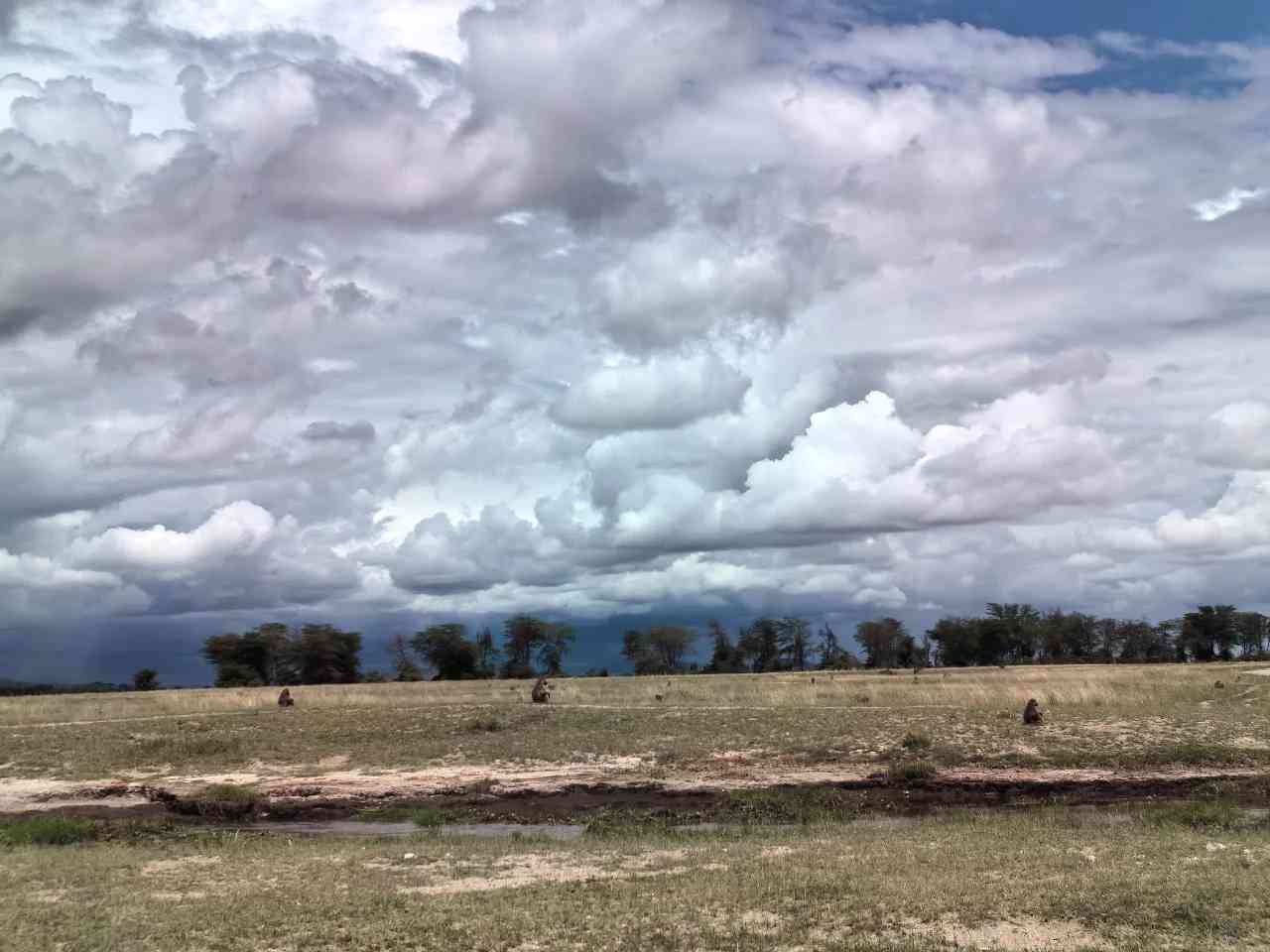 Discover Amboseli on Day 6: Ultimate Kenya Safari Adventure Experience