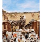 Discover Arusha, Tanzania: Top Safari Tours, Attractions & Travel Tips 2025