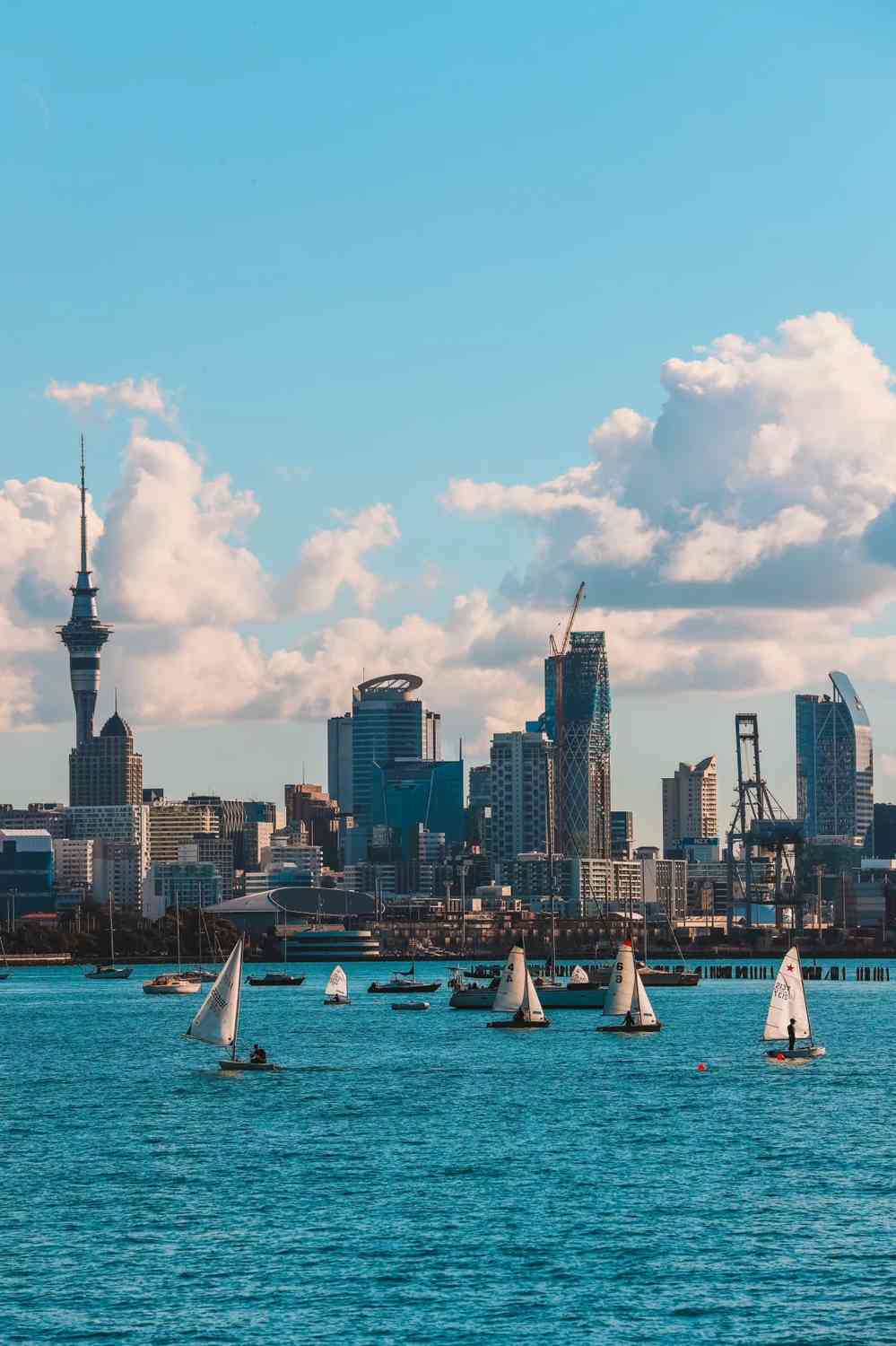 Découvrez Auckland, en Nouvelle-Zélande : Principaux Attraits & Conseils de Voyage