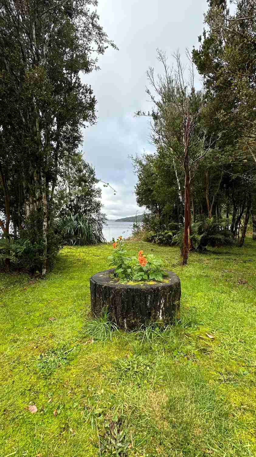 Discover Chiloe: Best Self-Guided Tour Routes and Budget Tips