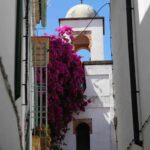 Discover Cordoba’s Hidden Gems: Spain Travel Tips for Adventurous Souls