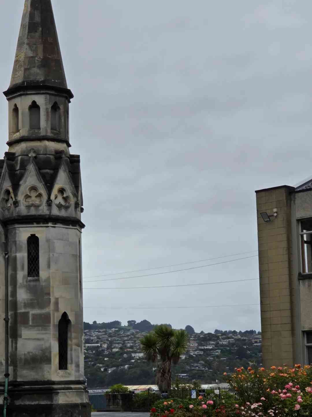 Discover Dunedin: Explore 100% Pure New Zealand’s Hidden Gem