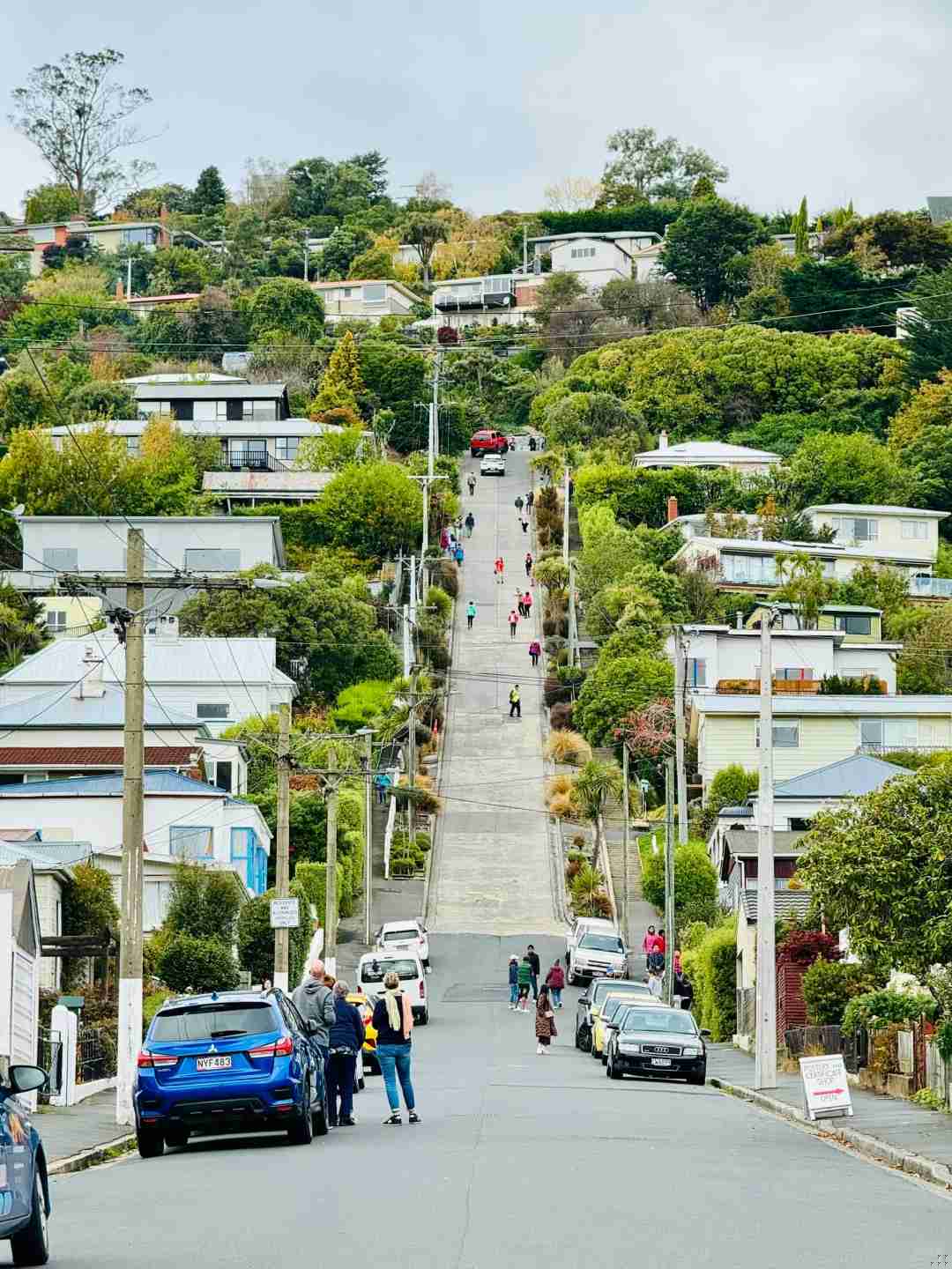 Discover Dunedin: Your Guide to the Charming Scottish-style Town in New Zealand