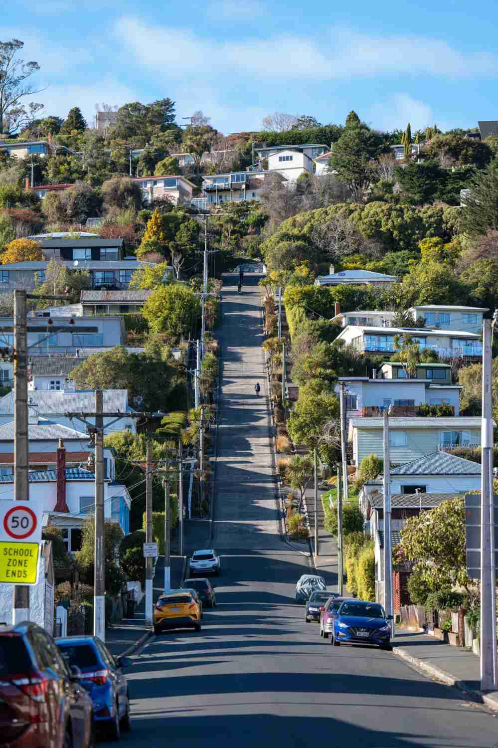 Descubra Dunedin: Seu Guia Definitivo para Viagens Gratuitas e Fáceis na Nova Zelândia