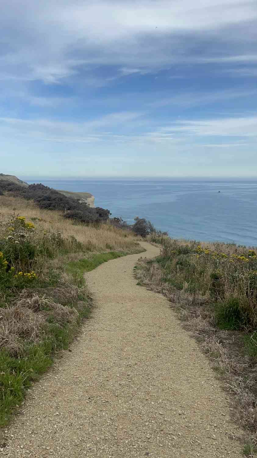Discover Dunedin's Tunnel Beach: A Scenic Path Perfect for Romantic Getaways