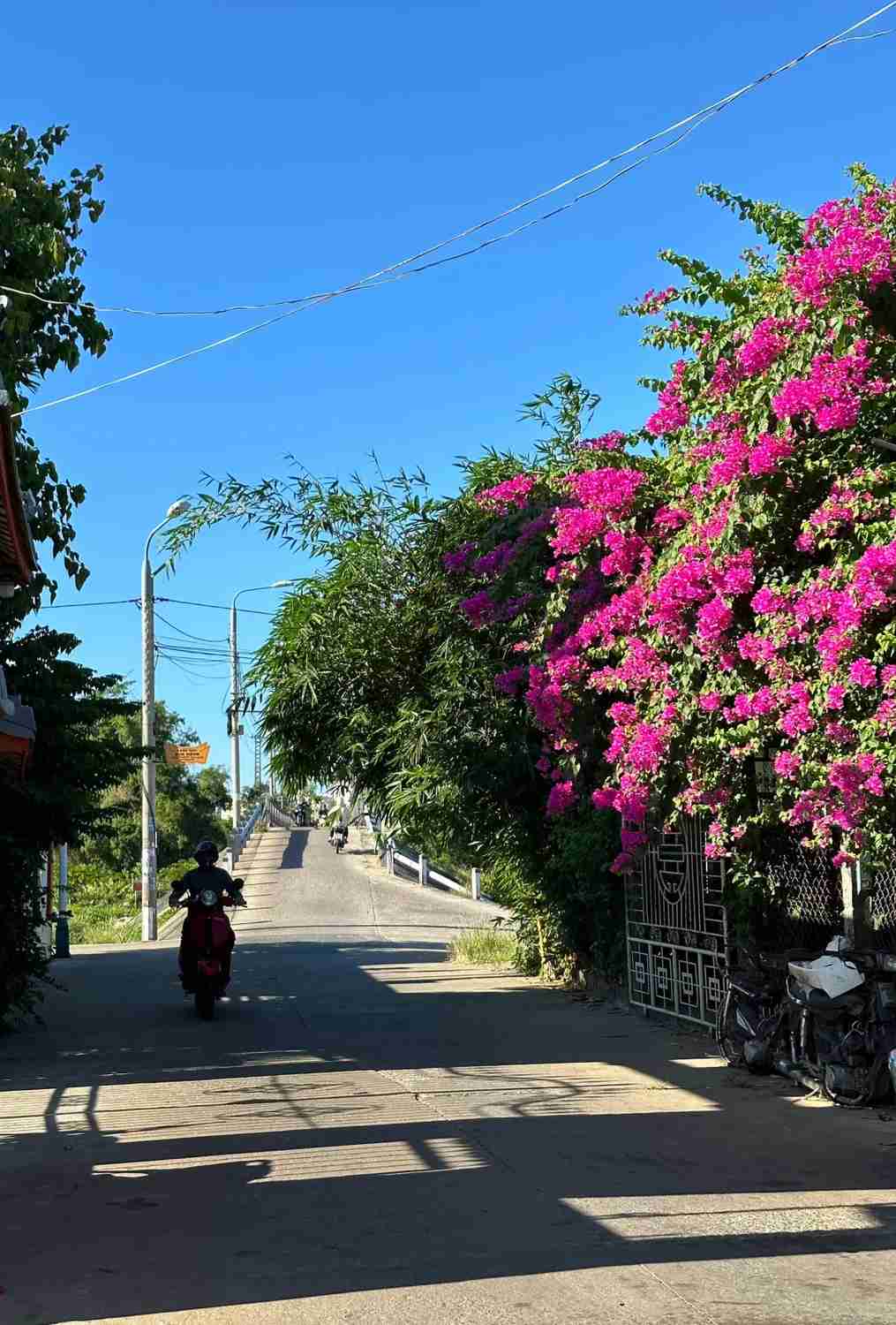 Discover Hoi An Vietnam: Explore Countryside & Coast in the Ancient Town