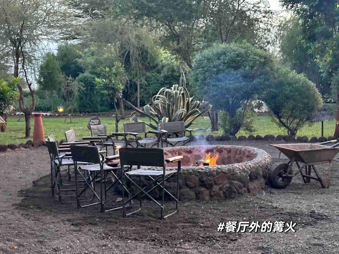 Discover Kenya Safari: Explore Amboseli, Masai Mara, and Luxury Hotels