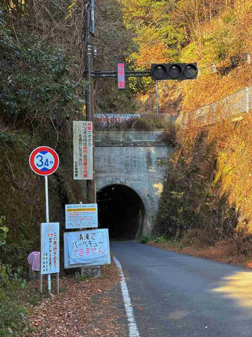 Discover Kyoto's Best Hiking Trails: Scenic Mountain Routes & Fresh Air Adventures