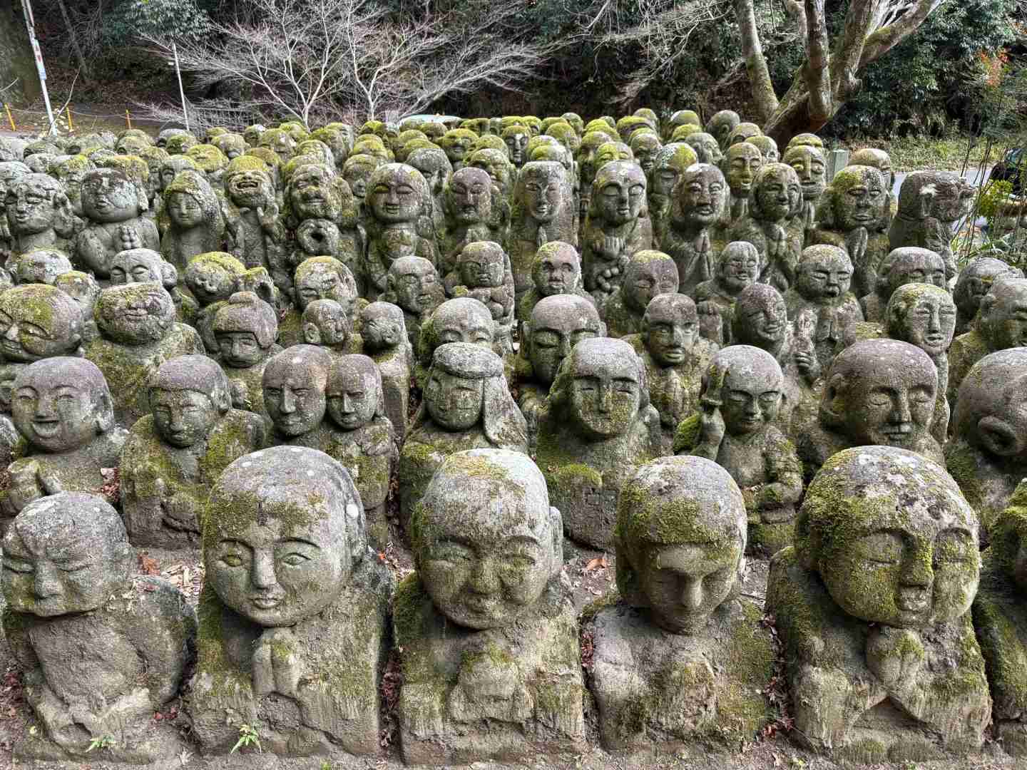 Discover Kyoto's Best Hiking Trails: Scenic Mountain Routes & Fresh Air Adventures