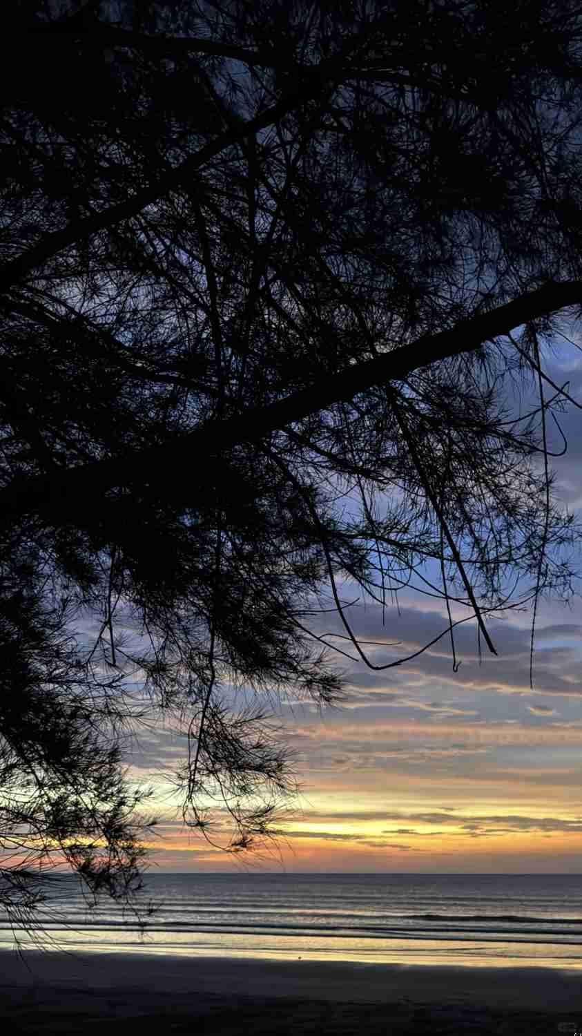 Discover Life Moments in Kota Kinabalu, Sabah: A Malaysian Adventure Guide
