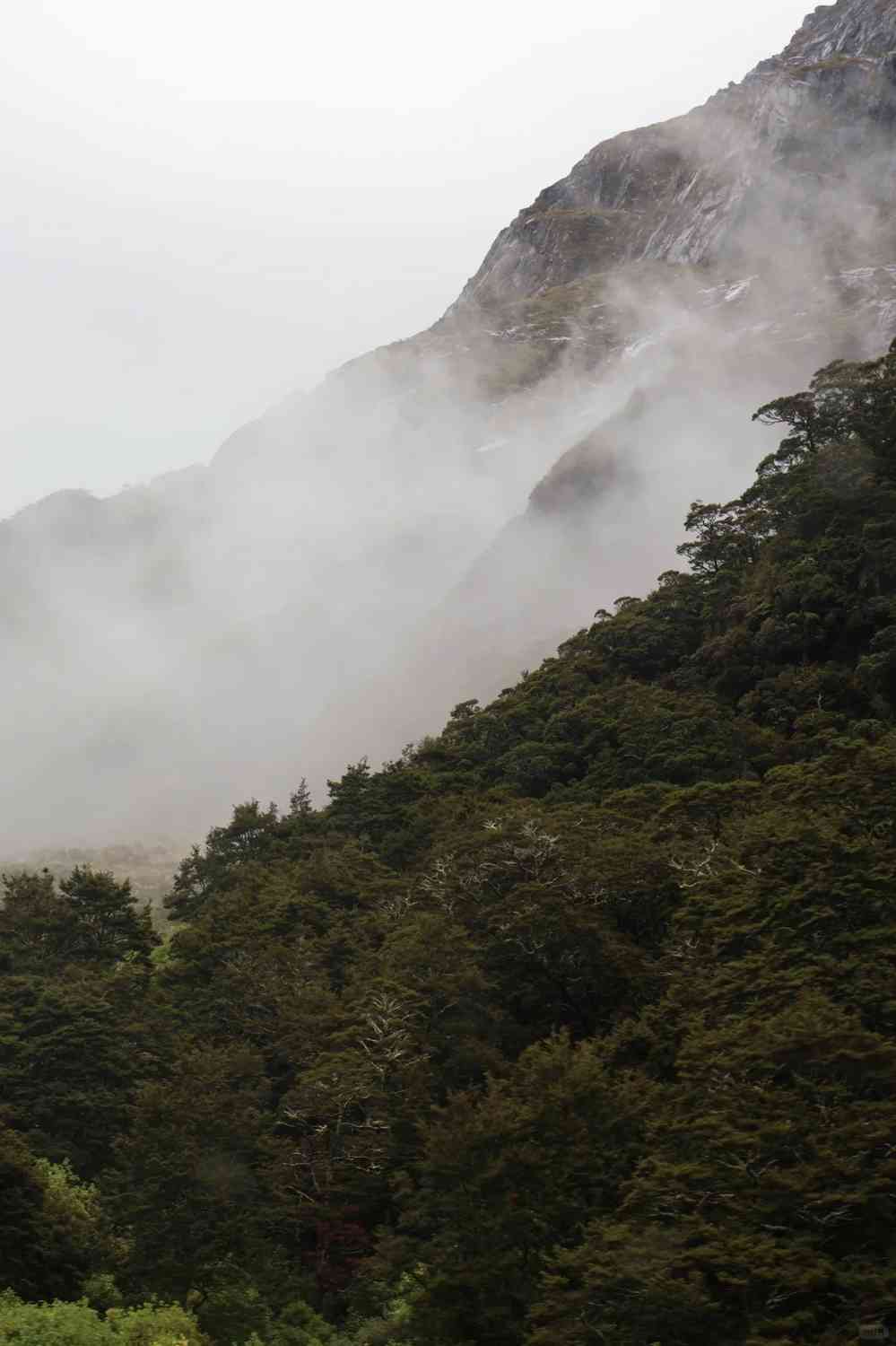 Discover Milford Sound, New Zealand: A Scenic Paradise for Nature Lovers