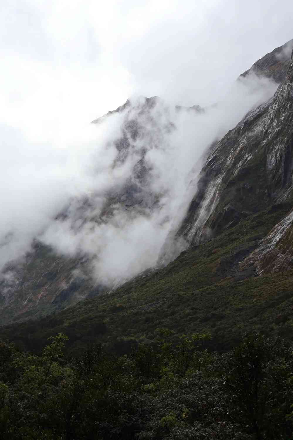 Discover Milford Sound, New Zealand: A Scenic Paradise for Nature Lovers