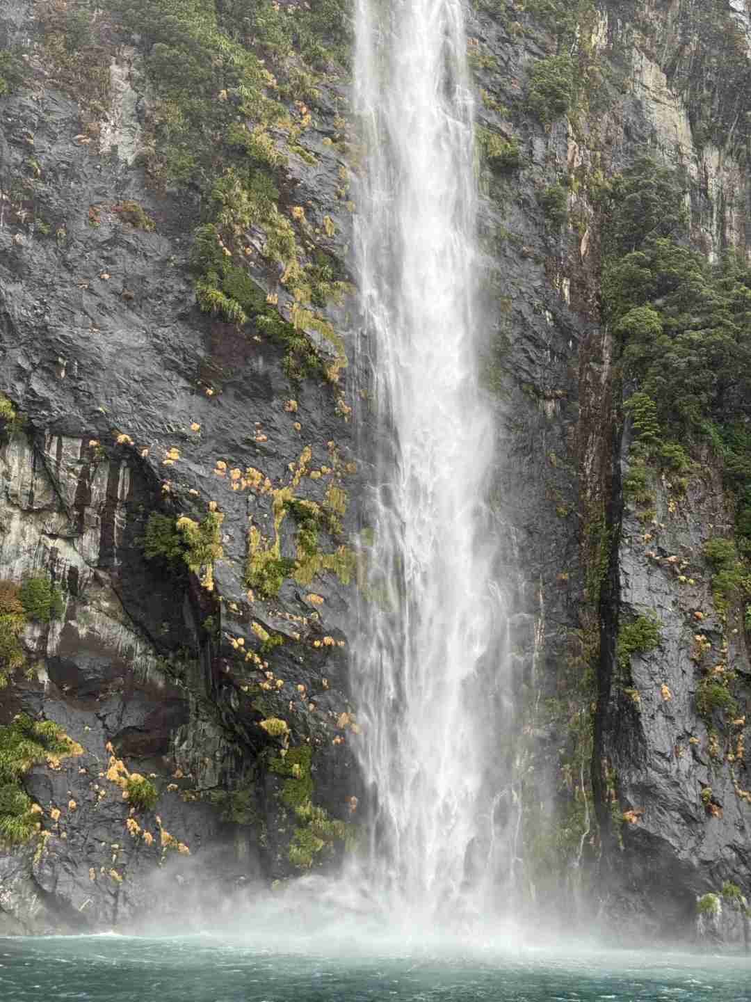 Discover Milford Sound, New Zealand: A Scenic Paradise for Nature Lovers