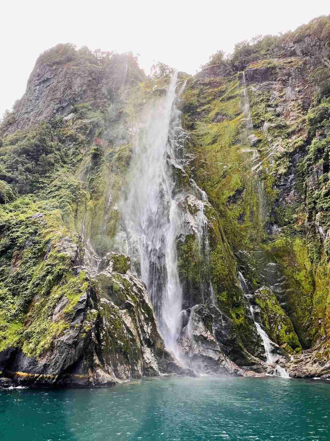 Discover Milford Sound: Scenic One Day Tour from Queenstown
