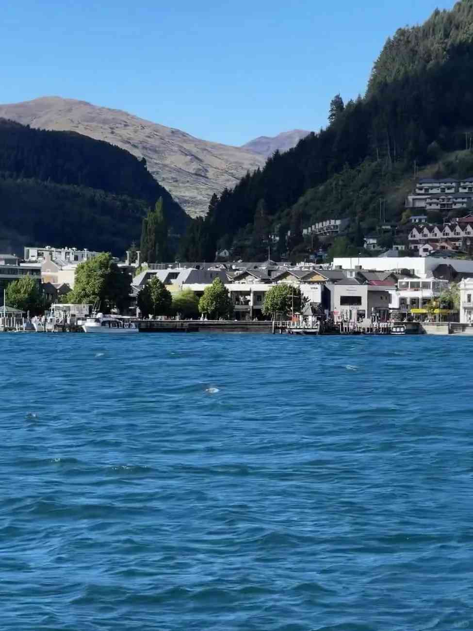 Discover My Honest Insights After 11 Days Exploring New Zealand's Hidden Gems