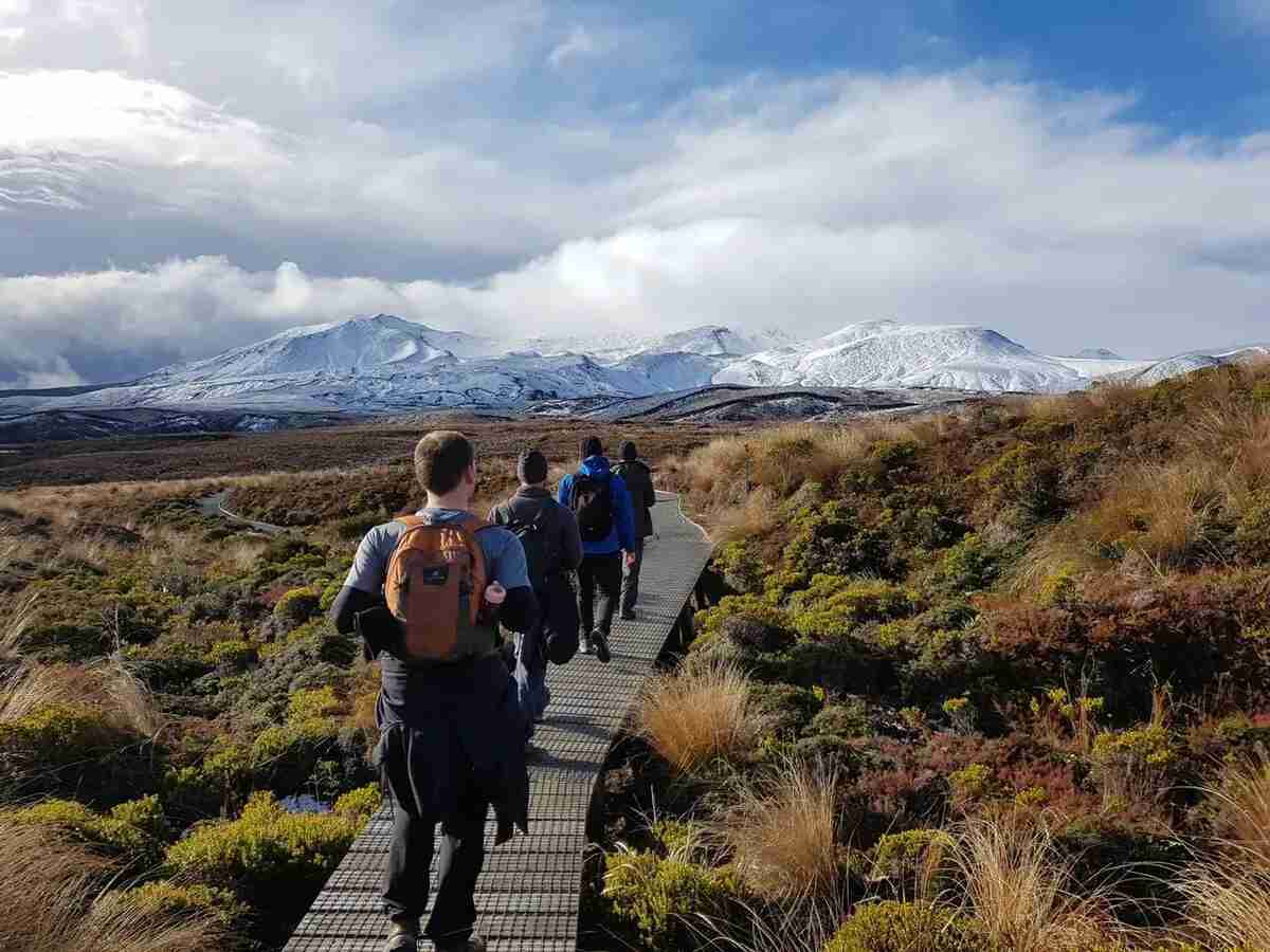 Discover New Zealand's Hidden Gem: Tongariro Volcano Hiking Adventure 🌋