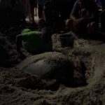 Entdecken Sie Perhentian Island: Ein verstecktes Juwel, bevor Sie die Top-Reiseziele am Meer erkunden