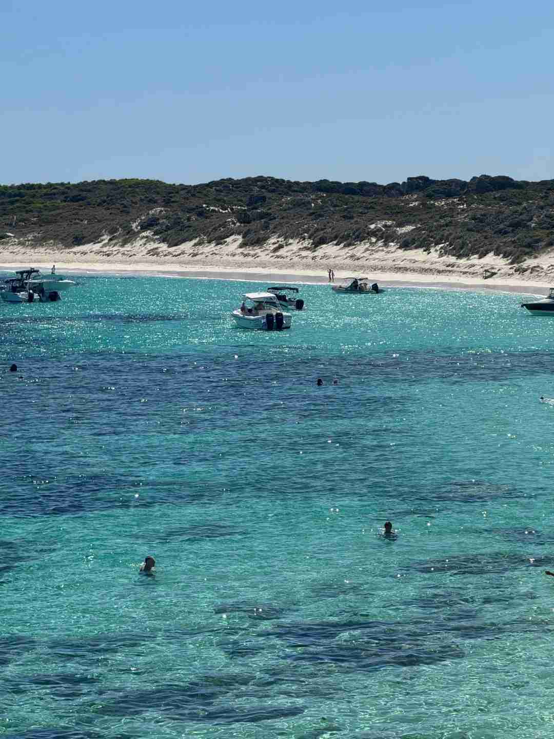 Discover Rottnest Island: Ultimate Guide to Quokka Encounters and Island Adventures