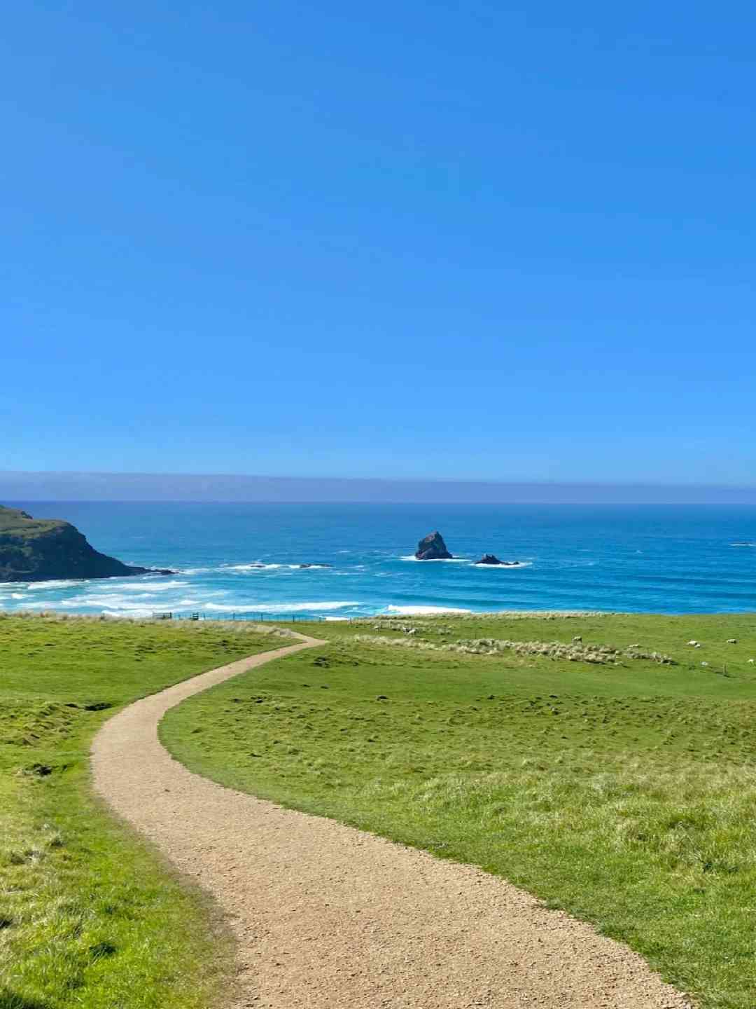 Discover Sandfly Bay, Dunedin: New Zealand's Hidden Gem for Nature Lovers