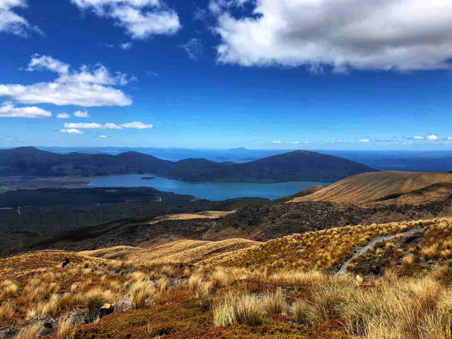Entdecke malerische Wanderungen im Tongariro Nationalpark, Neuseelands Naturwunder
