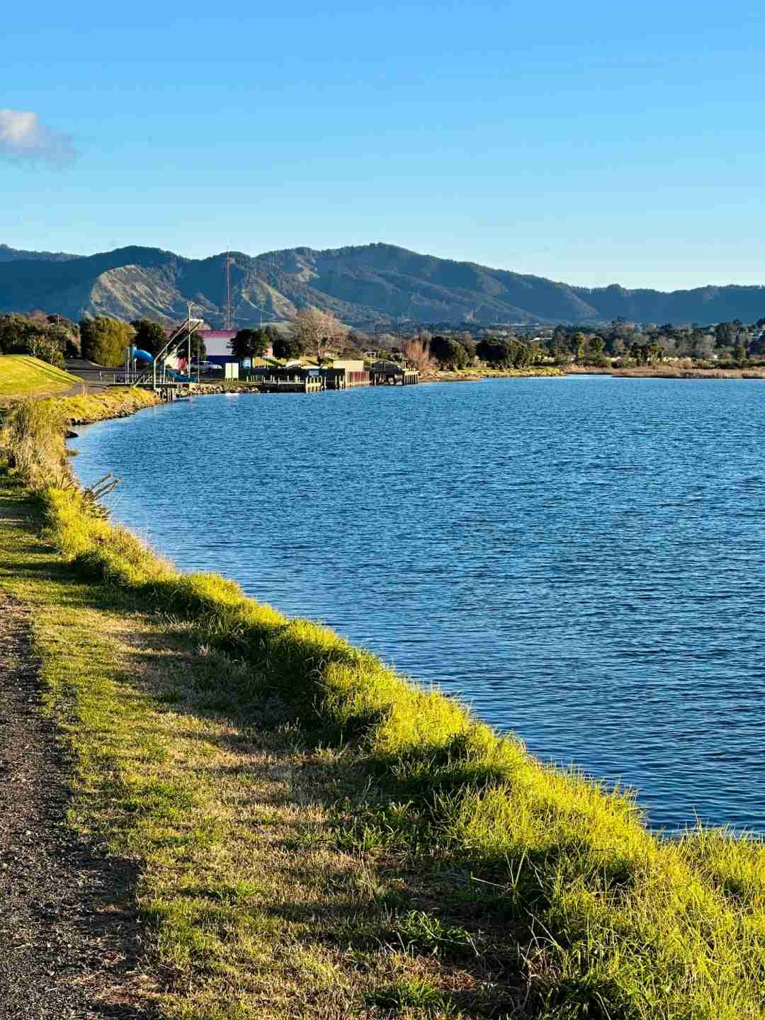 Discover Stunning New Zealand Live Photos: Perfect Shots Every Time 🥹