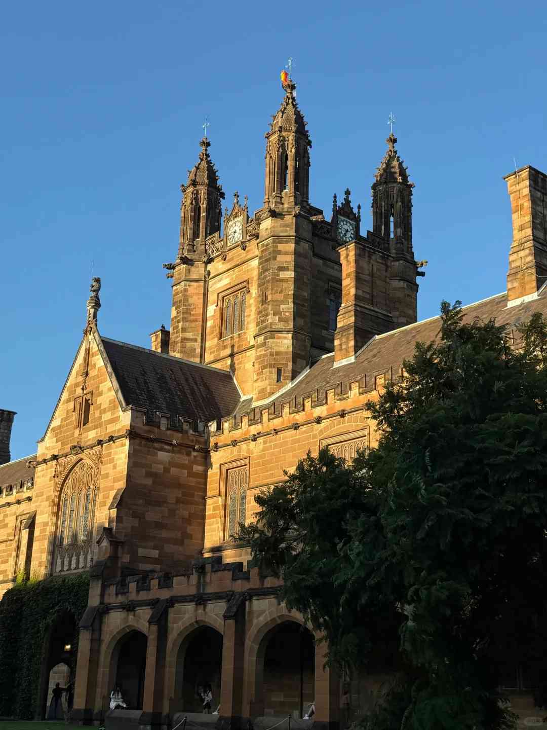 Discover Sydney: The Ultimate City That Will Make You Want to Stay Forever