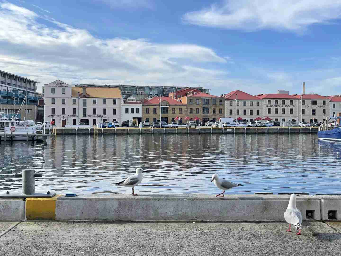 Discover Tasmania: Enjoy a Leisurely Hobart Walk with Delicious Ice Cream 🍦