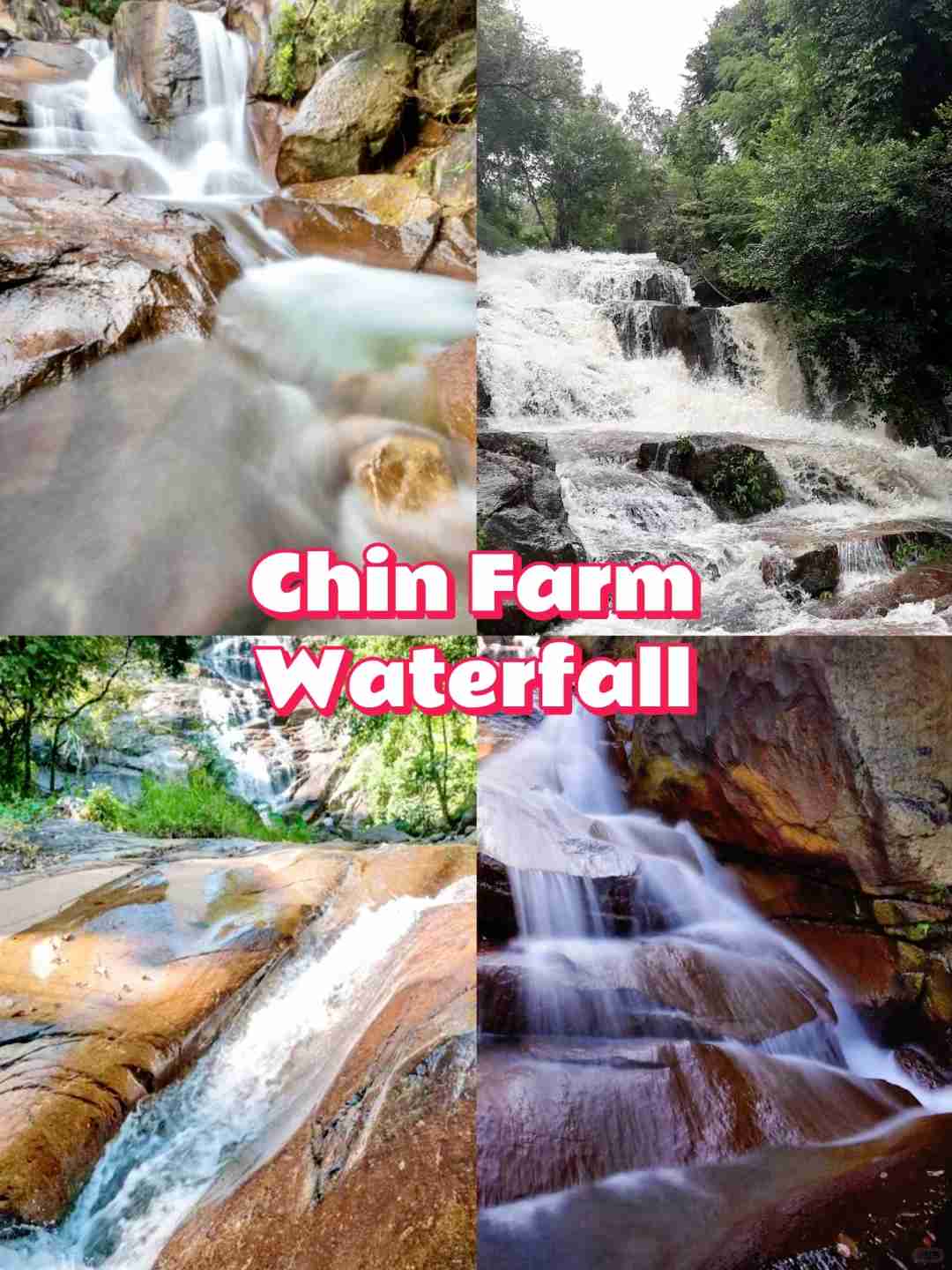 Discover Unique Penang Tours: Explore Without Traffic Jams & Hidden Gems Await