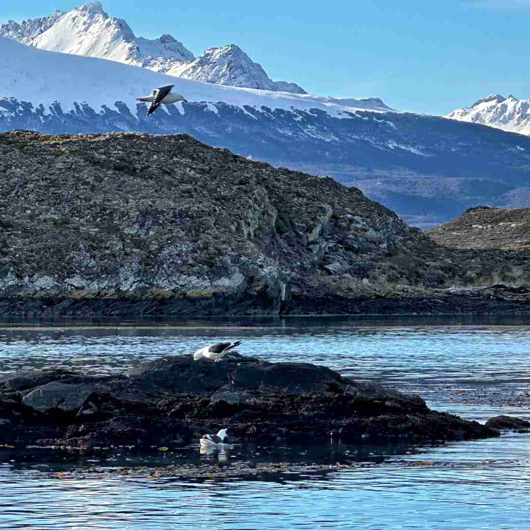 Discover Ushuaia, Argentina: Where Adventurers Find Solitude and Beauty