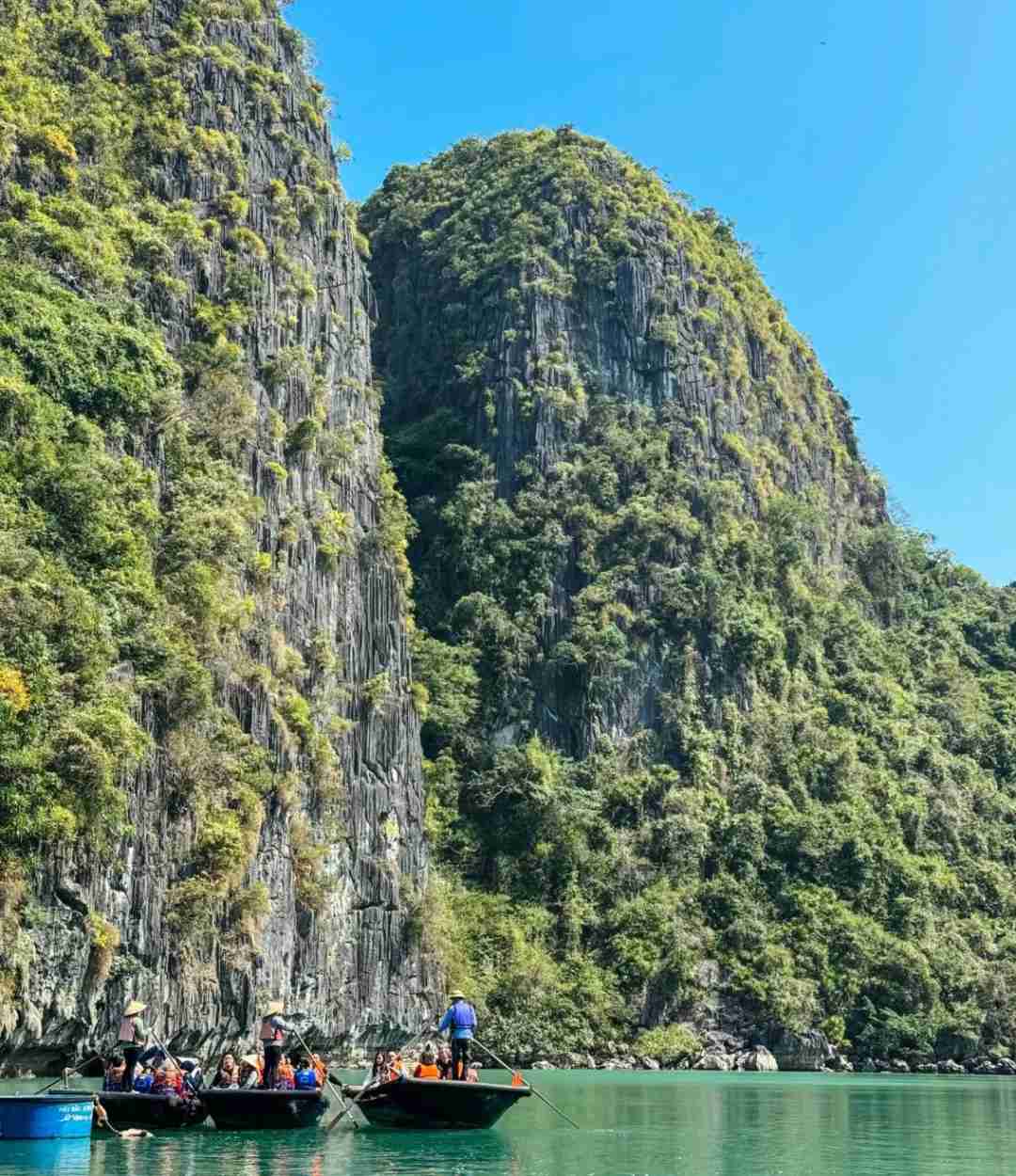 Discover Why March is Perfect for Exploring Ha Long Bay Abroad