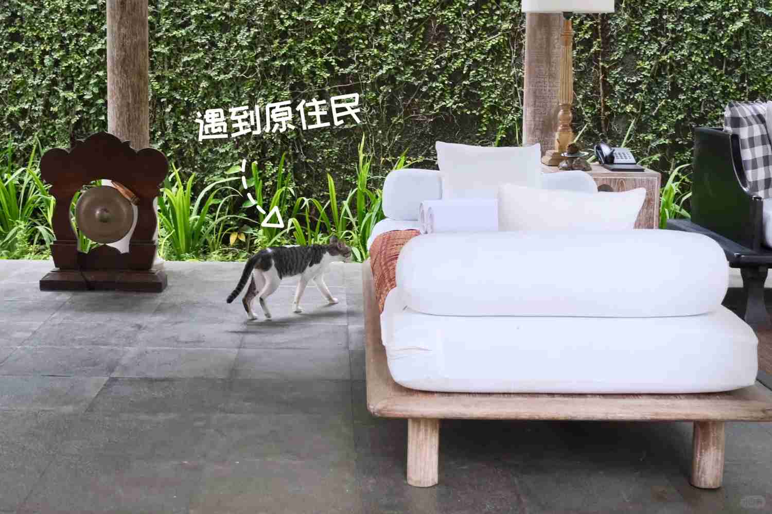 Discover Why This Hidden Gem Indonesian Hotel Isn't More Popular Yet