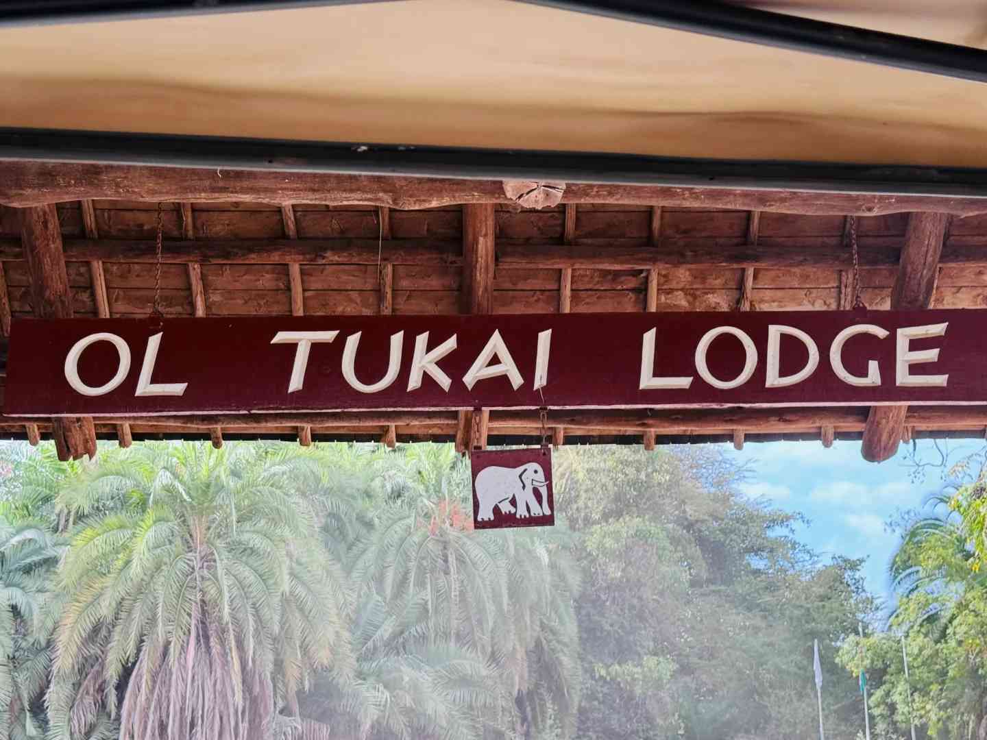 Discover Wildlife at Amboseli National Park: Best Safari Lodges & Tours