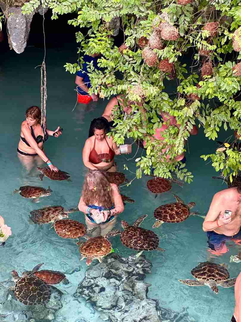 Discover Zanzibar's Salaam Cave Aquarium: Stunning Marine Life & Island Adventure