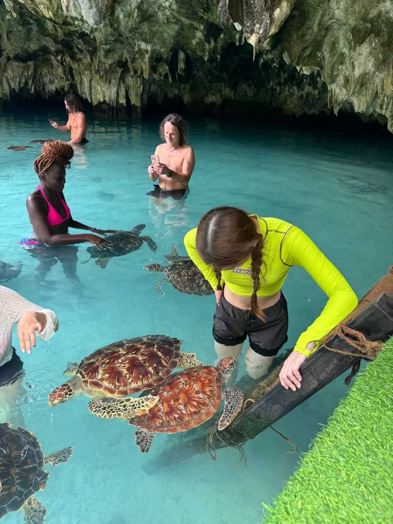Discover Zanzibar's Secret Sea Turtle Caves in Tanzania – Ultimate Island Adventure Guide
