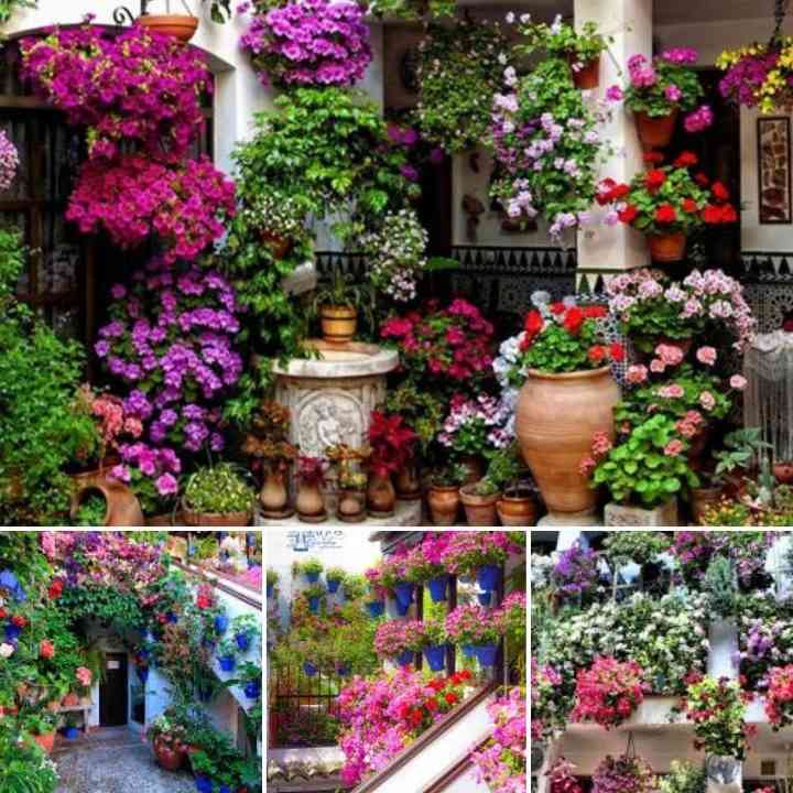 Discover the Beauty of May Cordoba Courtyard Festival: Essential Visiting Hours & Tips