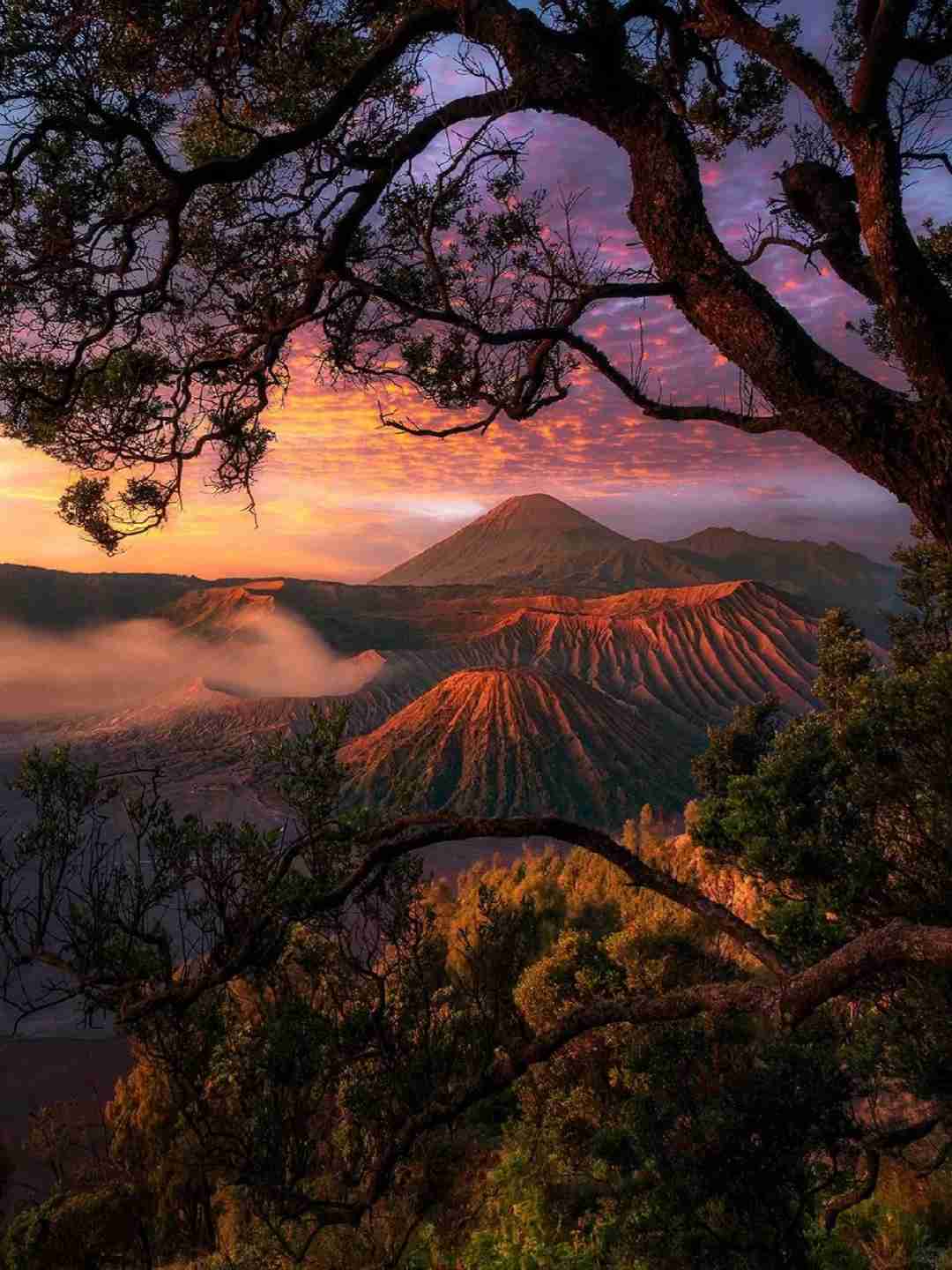 Discover the Best Time for Watching Stunning Sunsets at Bromo Without Staying Up All Night