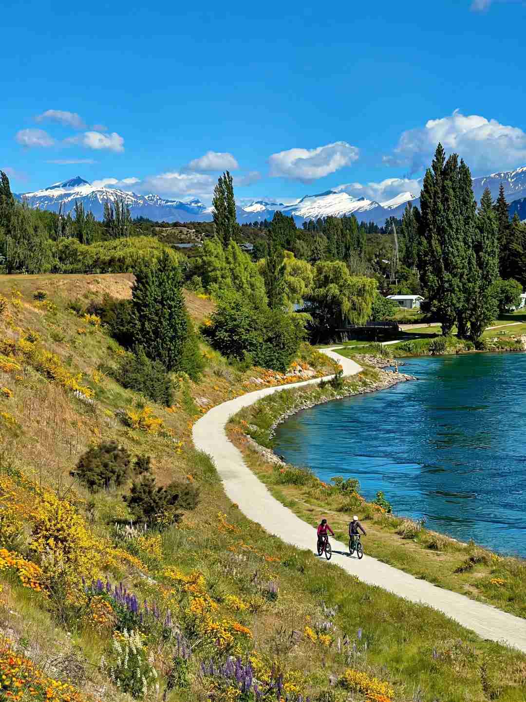 Discover the Best of New Zealand: Travel Tips and Hidden Gems