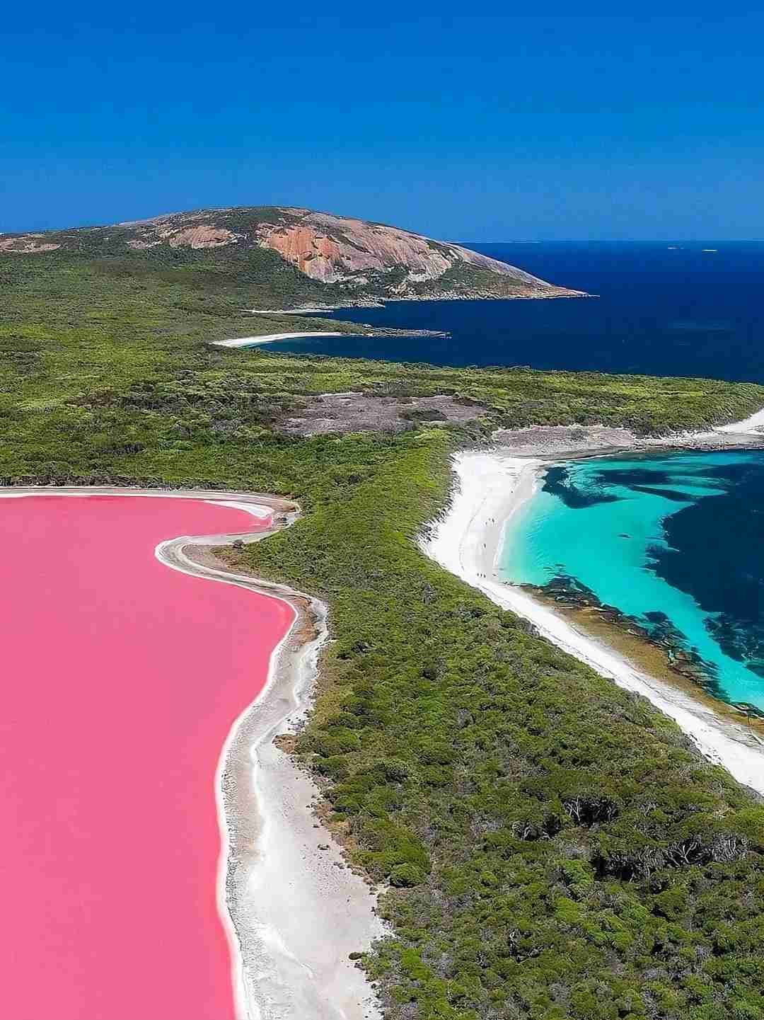 Discover the Breathtaking Beauty of Australia's Pink Lake: A Must-See Natural Wonder