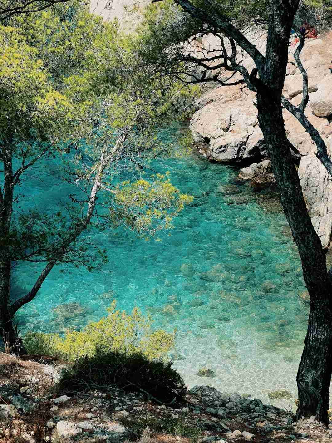 Discover the Breathtaking Beauty of Hiking Calanque de Sugiton in Marseille National Park