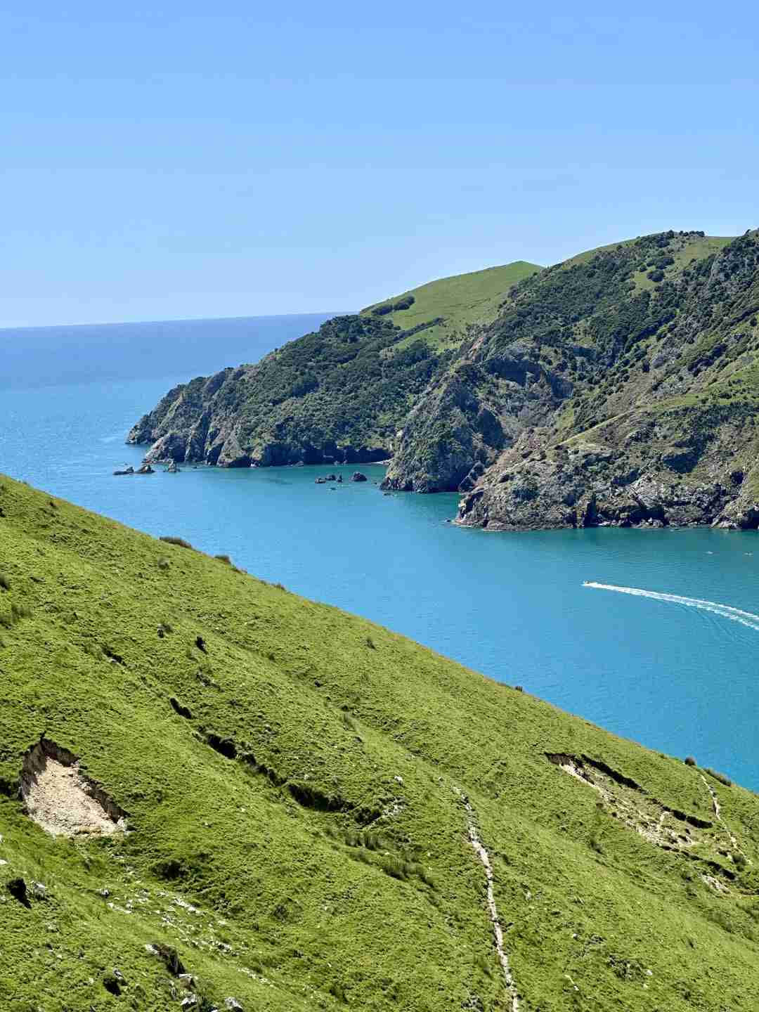 Discover the Breathtaking Bi-Colored Sea at Cable Bay, North of New Zealand's South Island