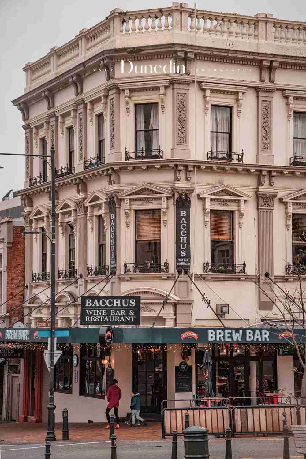 Discover the Charm of 🇳🇿 Dunedin: Your Ultimate South Island City Adventure
