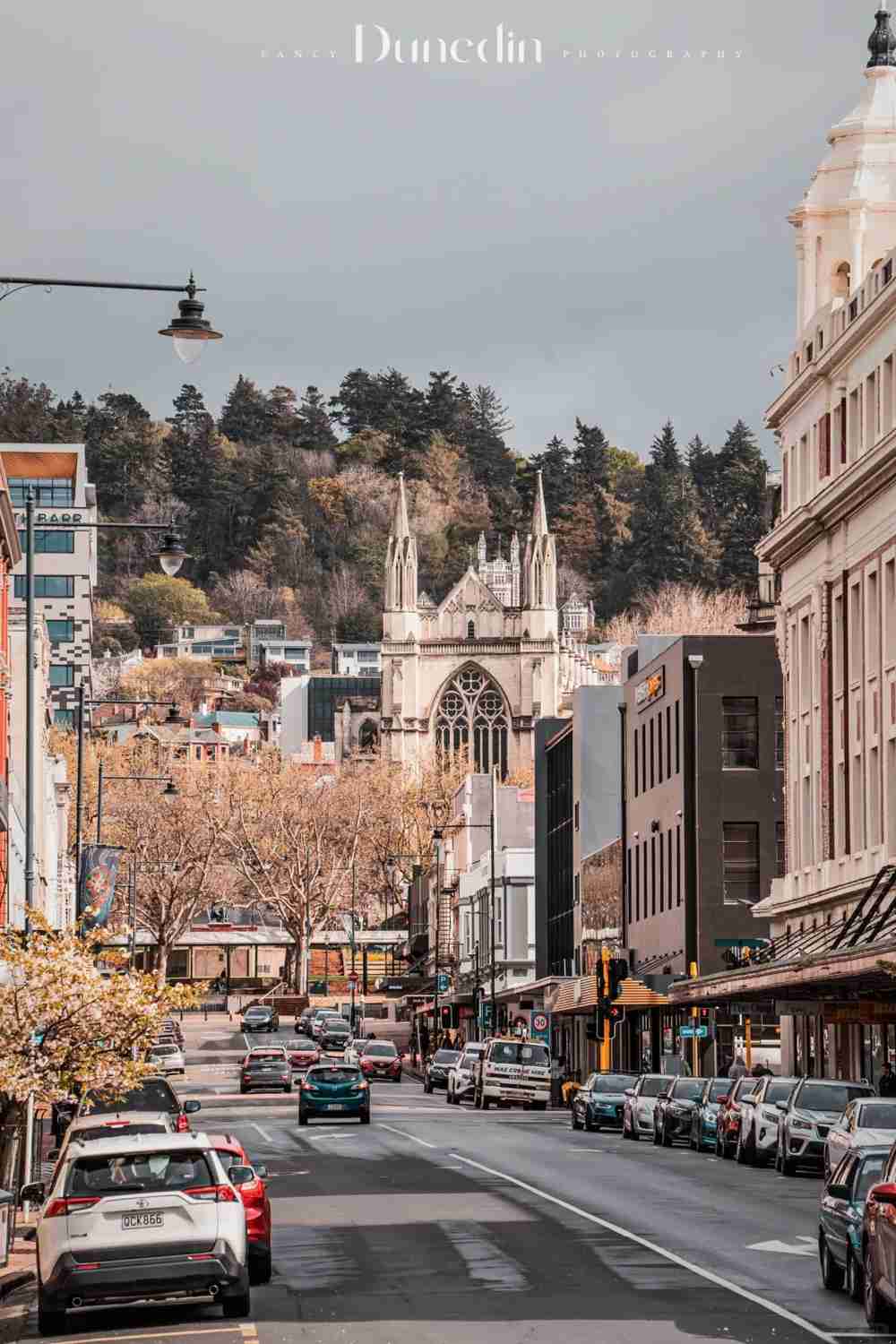 Discover the Charm of 🇳🇿 Dunedin: Your Ultimate South Island City Adventure