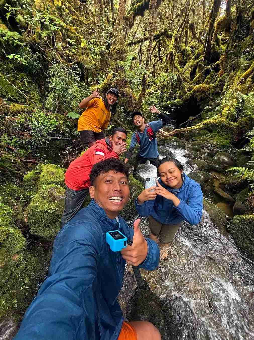 Discover the Divine Sumatra Rainforest Hiking Routes in Indonesia